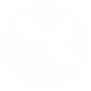 br-com-seloxis-auth.pages.dev favicon